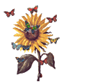sunflower with butterflies
