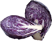 red cabbage