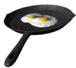 2 fried eggs
