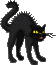 black cat animation