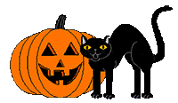 black cat pumpkin