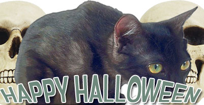 Happy Halloween with black cat and skulls
