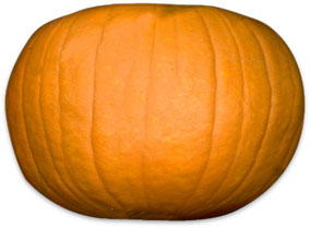 pumpkin image