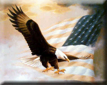 american eagle graphics
