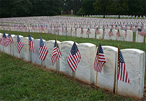 Andersonville on Memorial Day