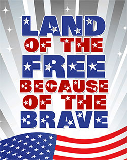 land of the free image