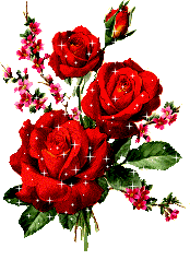 beautiful roses animation