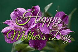 Happy Mother's Day flowers