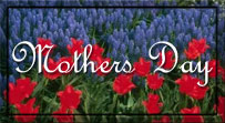 Mothers Day on blue and red flowers
