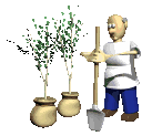 a man planting tree