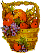 fruit and vegetables in basket with pumpkins