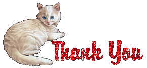 thank you cat animated