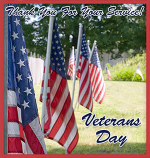 American Flags Veterans Day
