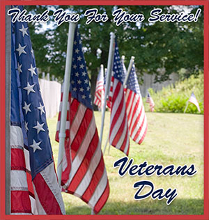 Free Veterans Day Animations Graphics Clipart