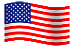 waving American Flag