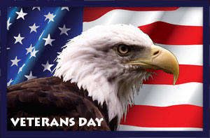 Veterans Day Eagle