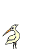 Hungry Bird animation gif